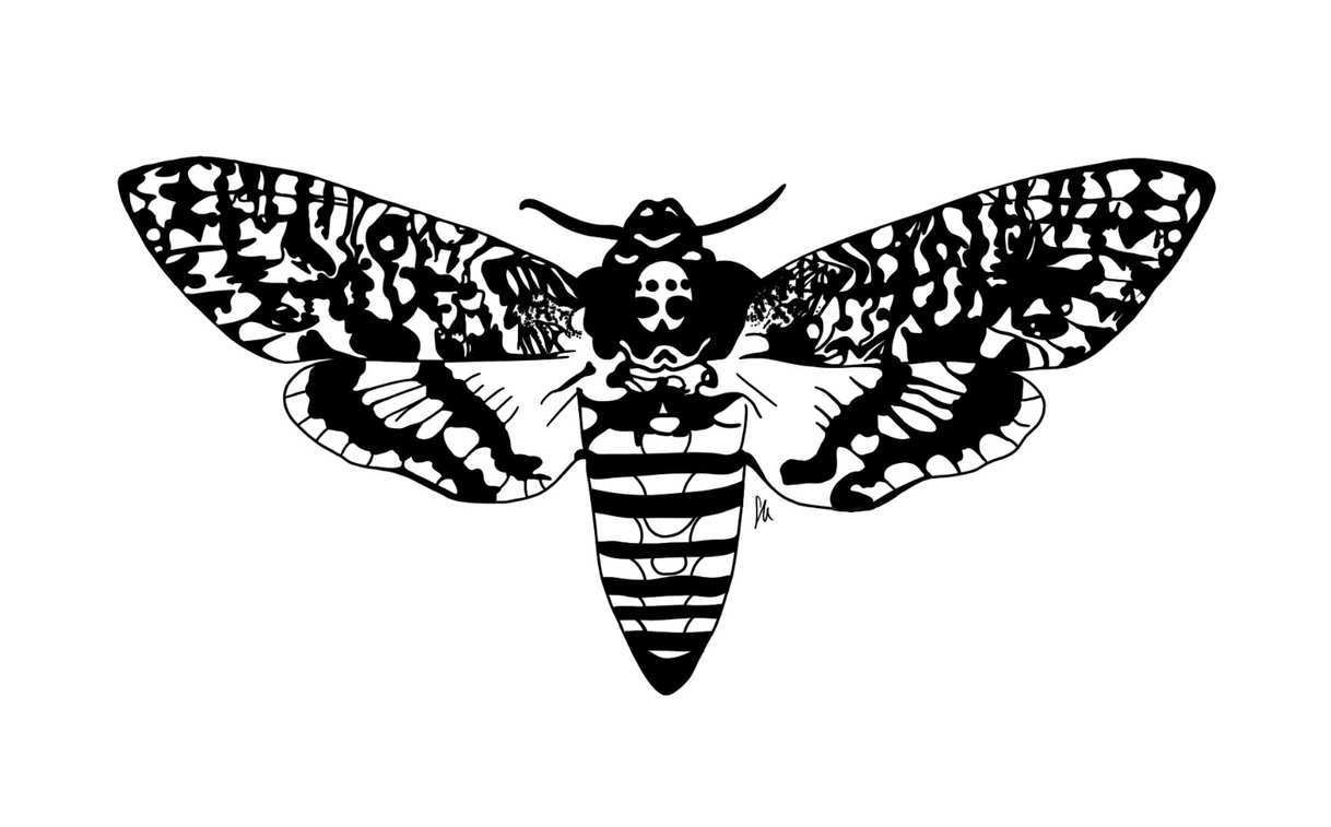 Death's Head Moth lineart illustration